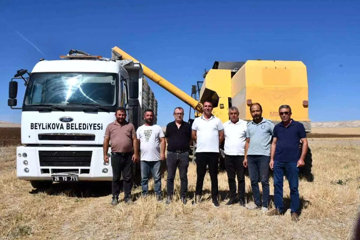 beylikovada yaglik aycicegi hasadi basladi 4 milyon tl ek gelir saglandi imgch92V