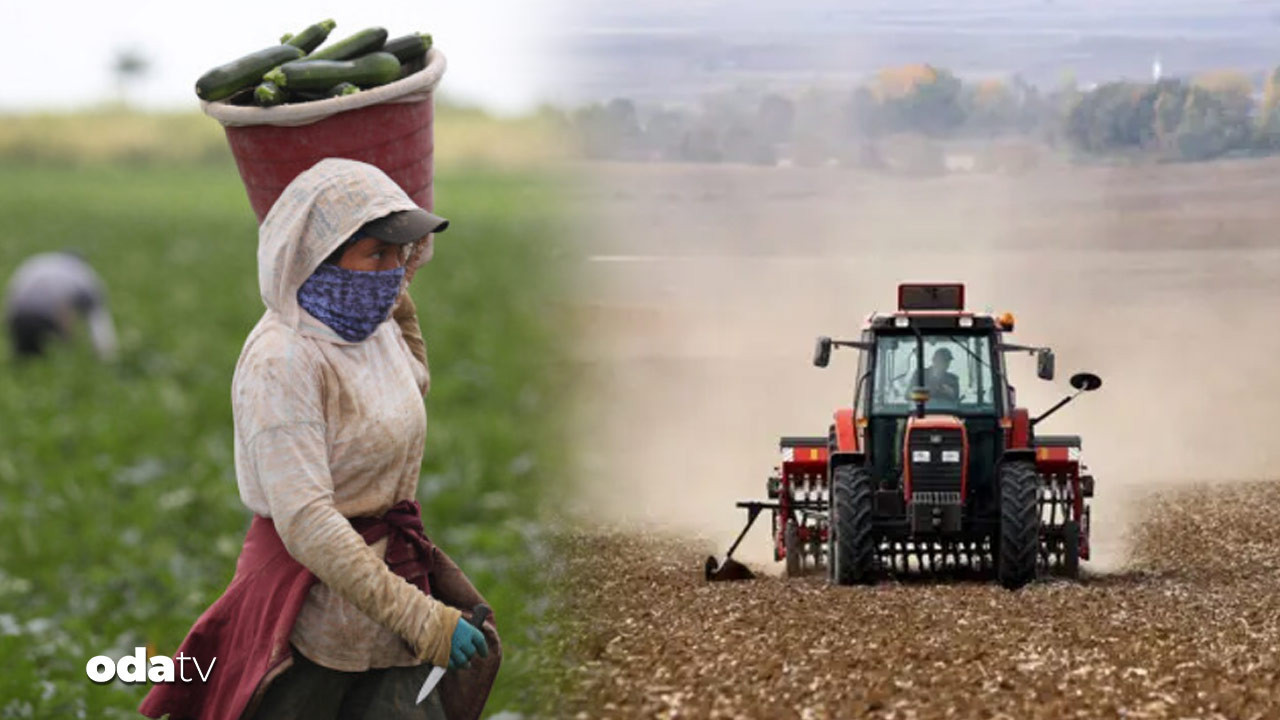 ciftcinin borcu 1 trilyonu asti hasat almadigi tarla traktor satista xyNgVvBs