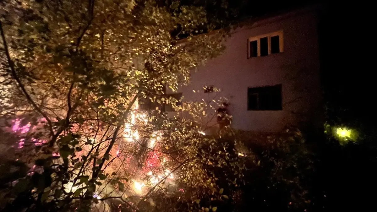 fekede yangin dumandan etkilenme vakasi hZ23dEi2