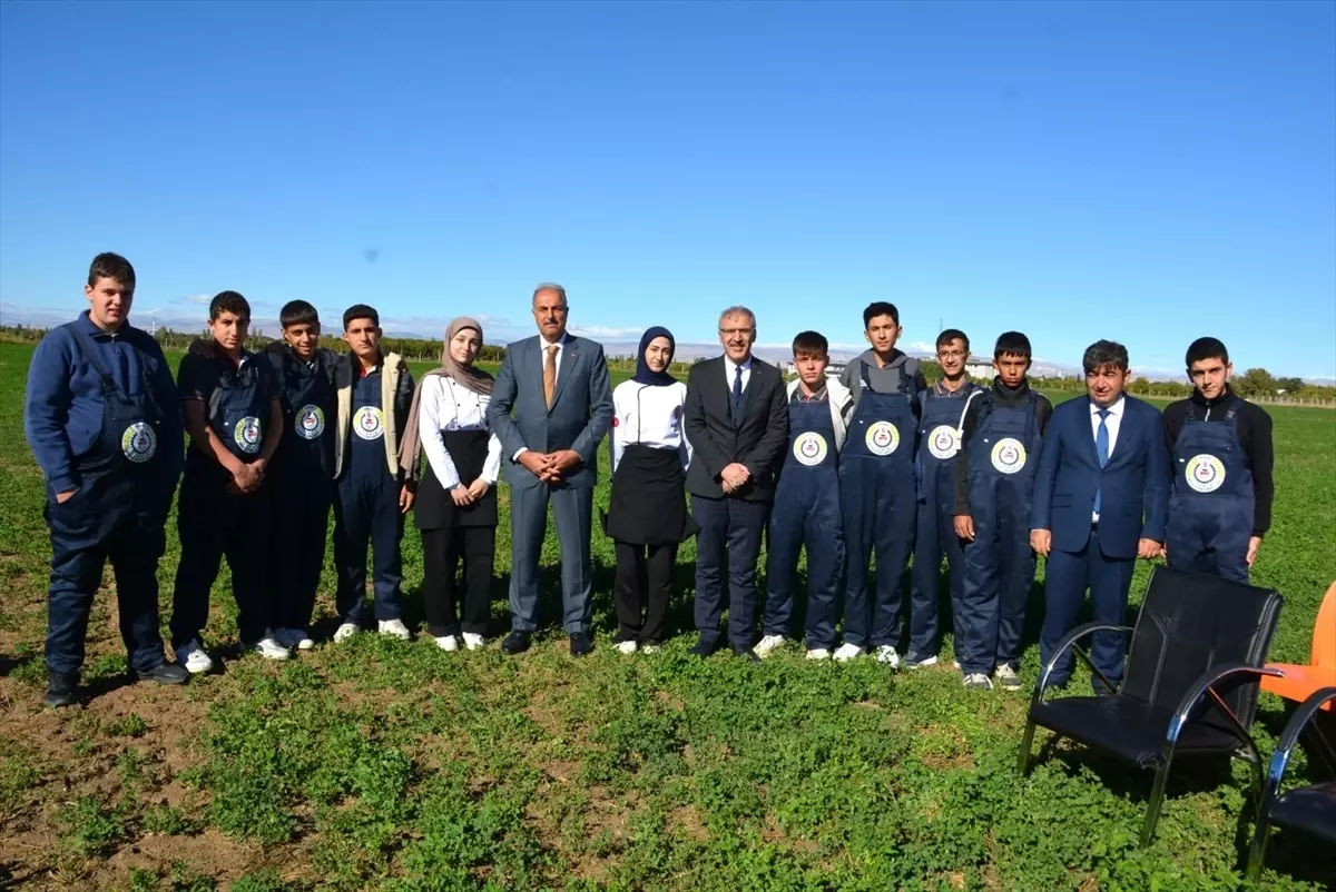 battalgazi tarim lisesinde misir hasadi gerceklestirildi L18gpTgO.jpg