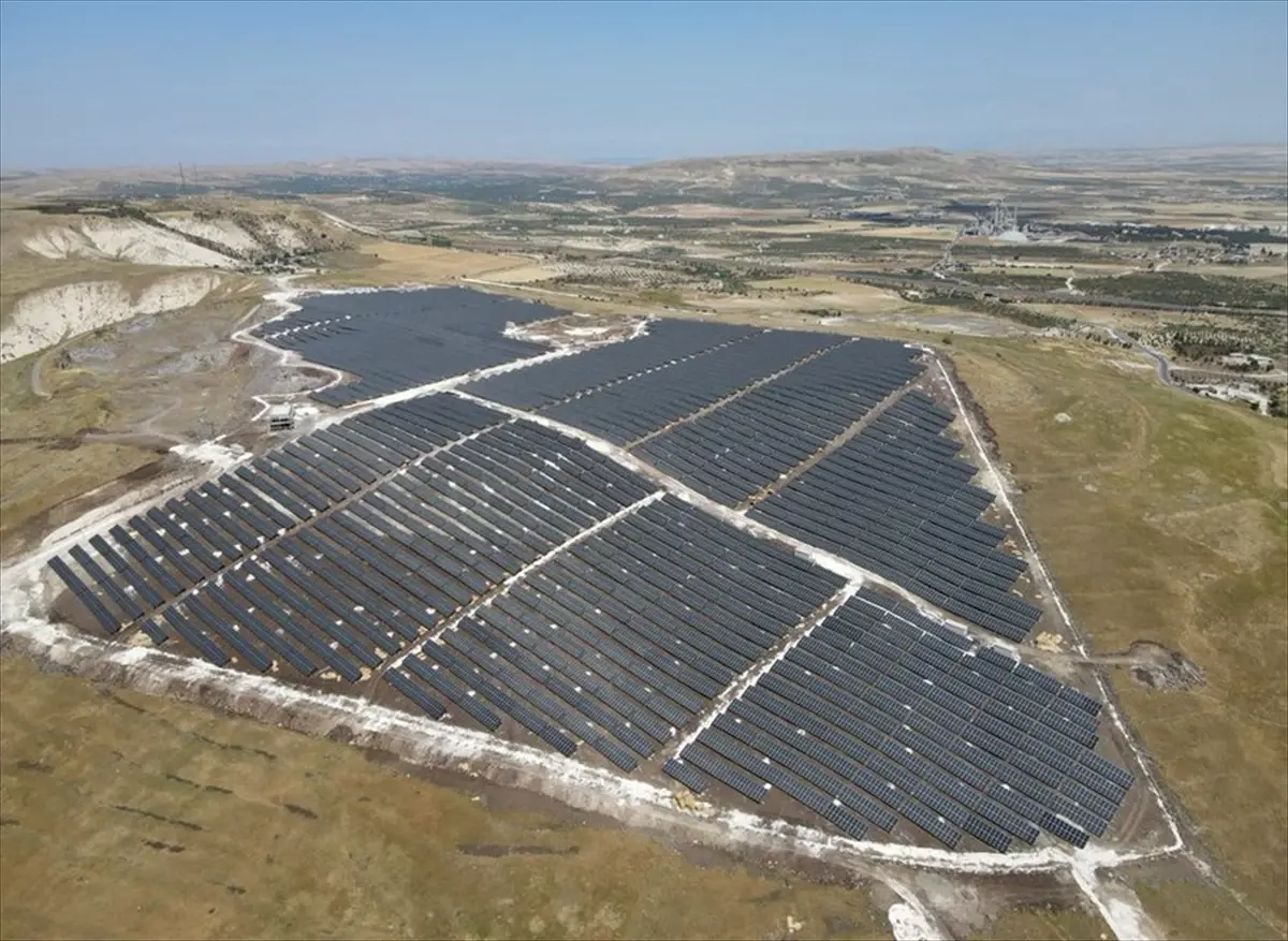 nesli tukenme tehlikesindeki cizgili sirtlan goruntulendi tDfyyecb