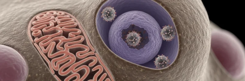HPV Aşısının Önemi ve Koruyucu Etkileri