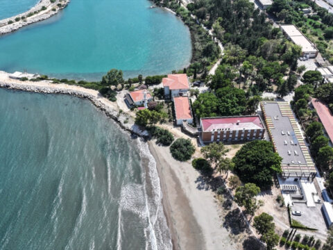 Mersinin erdemli ilcesindeki odtu sahilinde kaplumbaga hassasiyeti xQXuG2ka