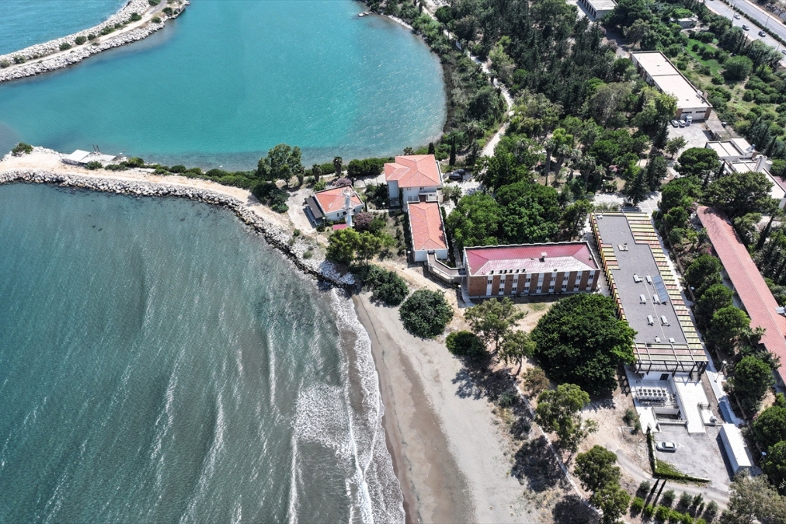 Mersinin erdemli ilcesindeki odtu sahilinde kaplumbaga hassasiyeti xQXuG2ka