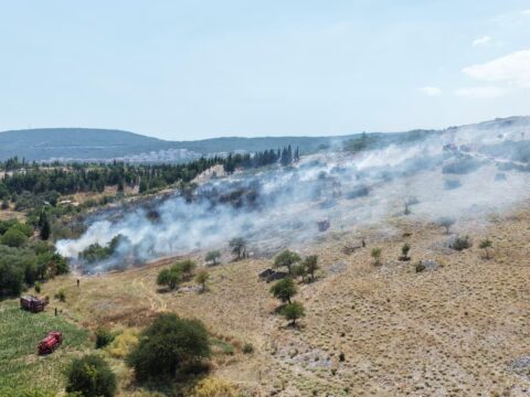 Muglada orman ve tarim alaninda cikan yangina mudahale ediliyor 2kXbnxQR